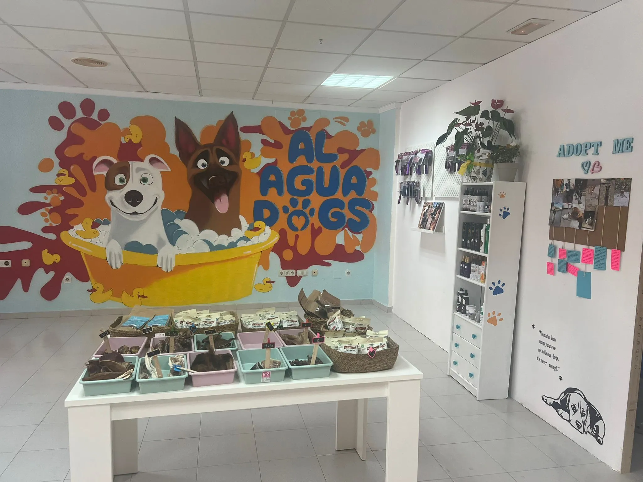 PROYECTO DE APERTURA PARA PELUQUERIA CANINA «AL AGUA DOGS»